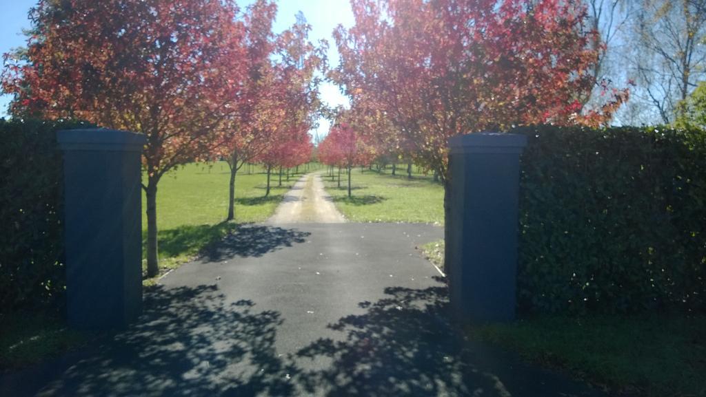 Bed and Breakfast Korbaylen Estate Tamahere Exterior foto